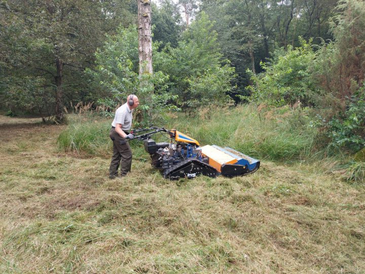 Erster Arbeitseinsatz 2024 in der Hildener Heide