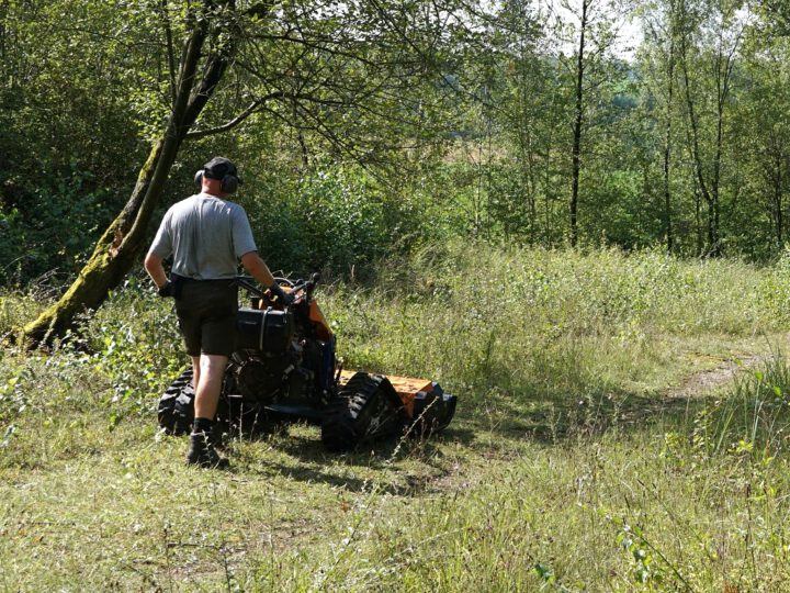 Mäh- und Abräum-Arbeiten 2024 in Gube 10 abgeschlossen