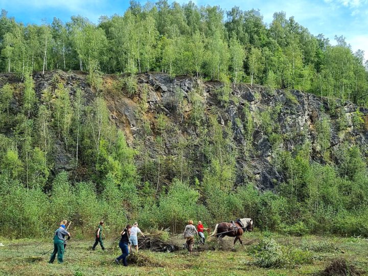 Biotoppflege 2024 in Grube 7 und dem Sedimentationsbecken