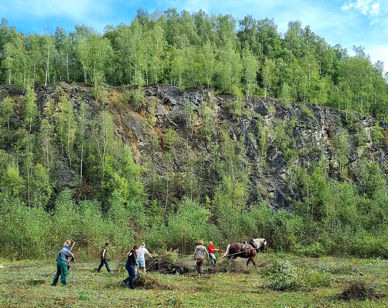 Biotoppflege 2024 in Grube 7 und dem Sedimentationsbecken