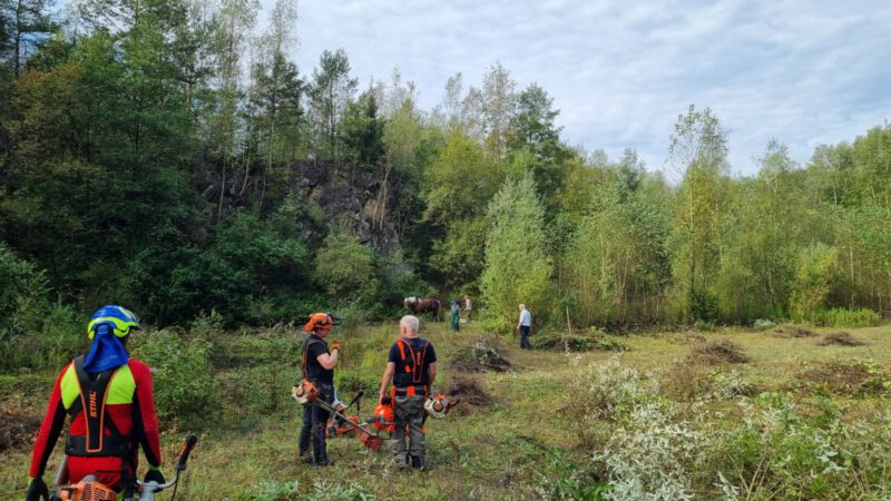 Team Grube 7, 10 und Wald – Jahresabschlussbericht 2024