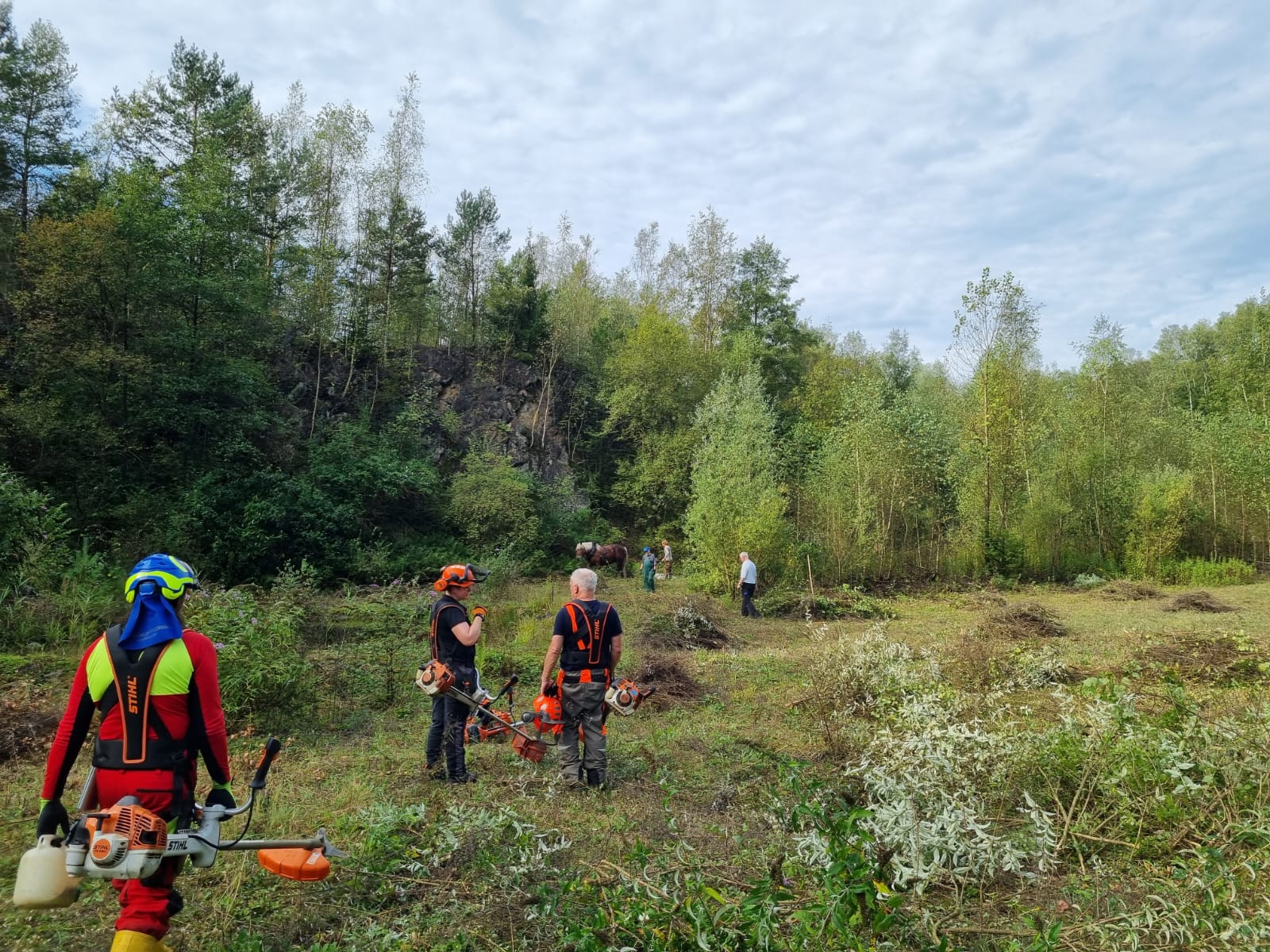 Team Grube 7, 10 und Wald – Jahresabschlussbericht 2024