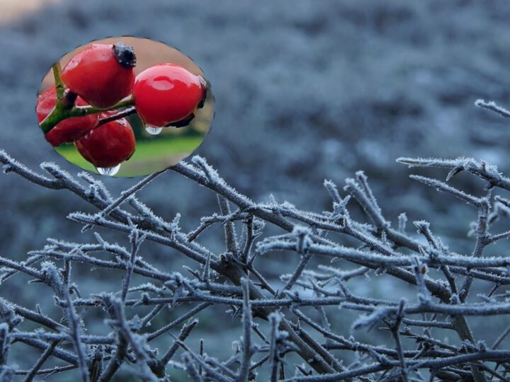 Lokaler Wetterbericht aus Haan und Gruiten