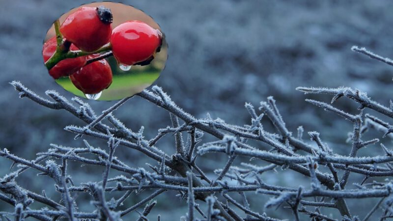 Lokaler Wetterbericht aus Haan und Gruiten