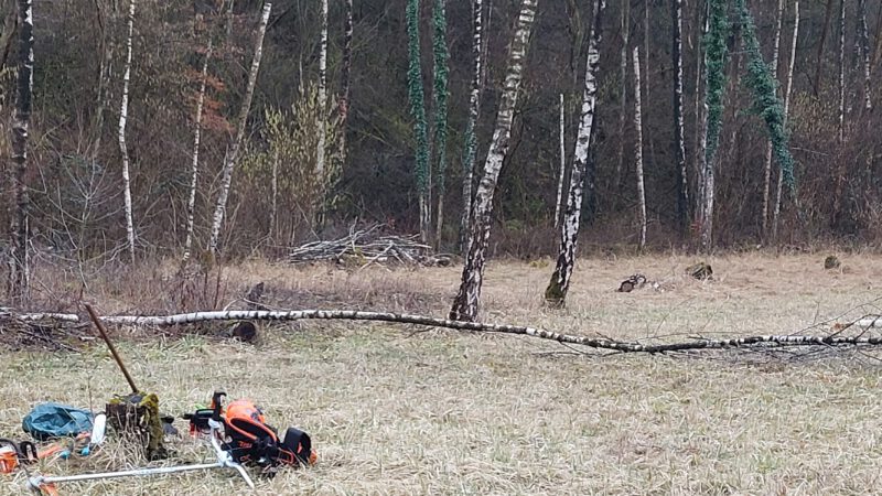 Aufräumaktion im Sedimentationsbecken